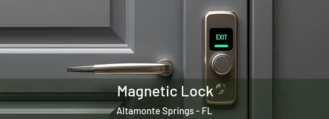  Magnetic Lock Altamonte Springs - FL